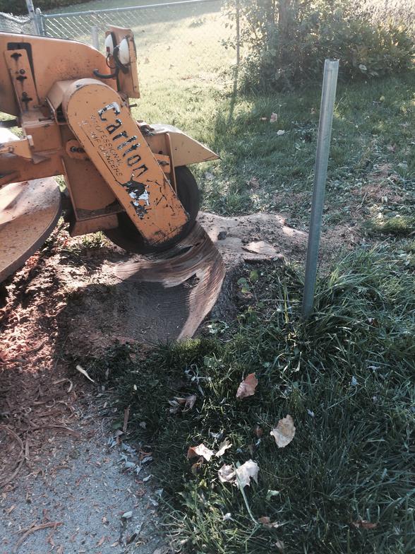 Stump Removal Service Des Moines, Iowa