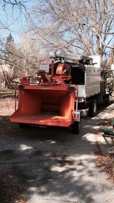 Tree Trimming Service Des Moines, Iowa