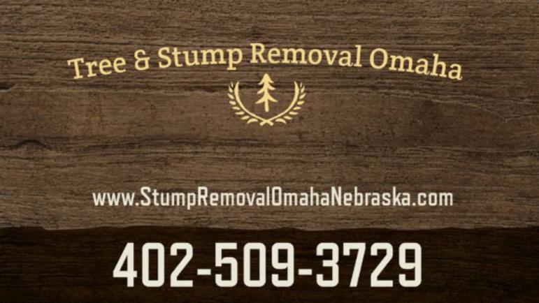 Tree & Stump Removal Omaha